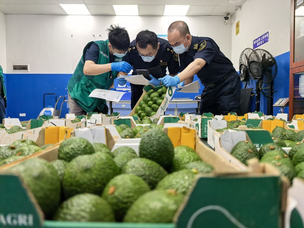 财经聚焦｜零关税助力非洲好物拥抱中国大市场