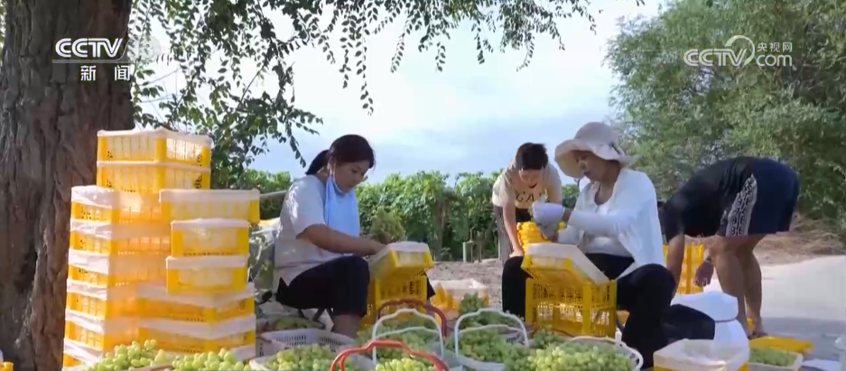 年中经济观察 | 电商成为农民致富“金钥匙” 乡村振兴注入强劲动能_国内_红星新闻网