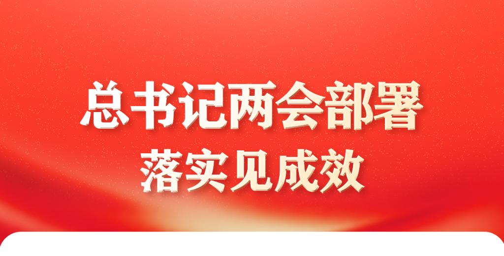 总书记两会部署落实见成效