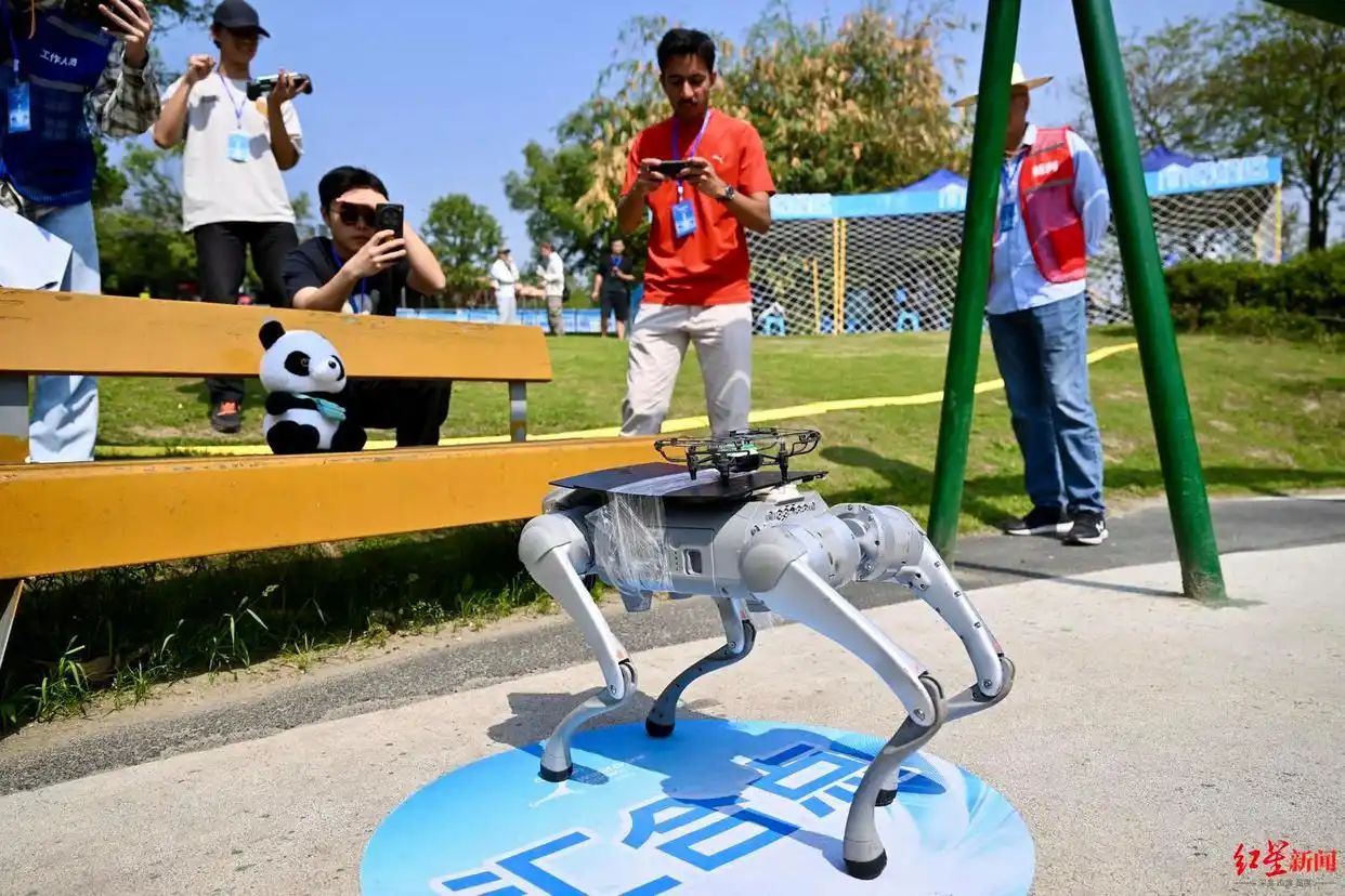 无人机马术赛压轴亮相世界无人机运动会，解锁空地协同全新应用场景 (http://www.hilij.com/) p 第2张