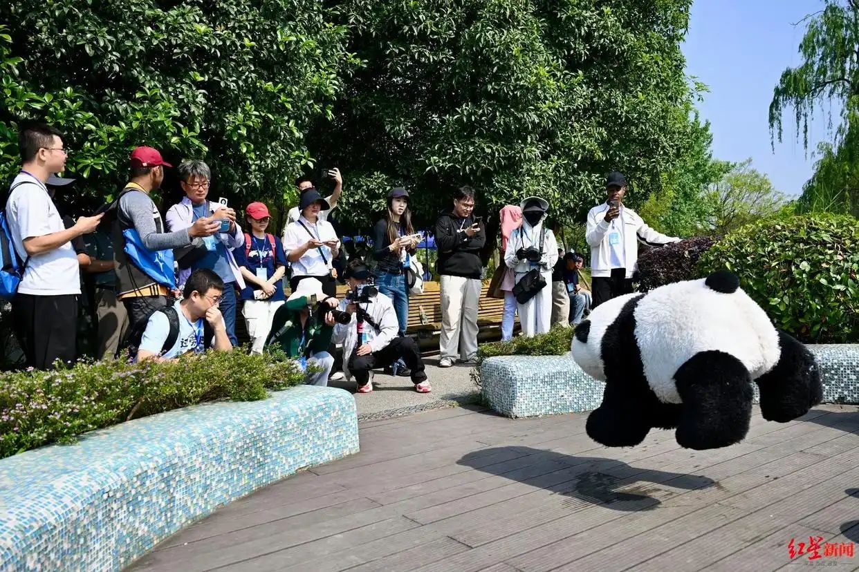 无人机马术赛压轴亮相世界无人机运动会，解锁空地协同全新应用场景 (http://www.hilij.com/) p 第6张