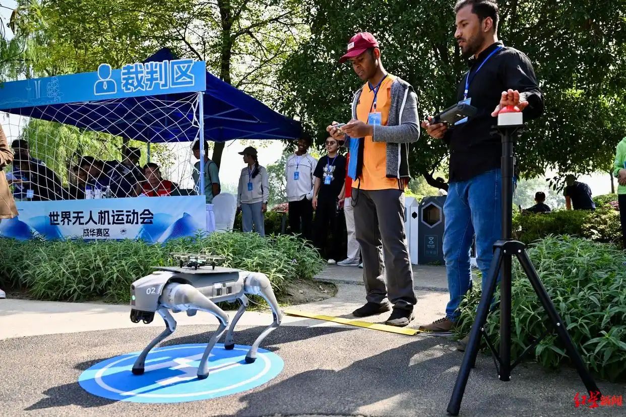 无人机马术赛压轴亮相世界无人机运动会，解锁空地协同全新应用场景 (http://www.hilij.com/) p 第5张