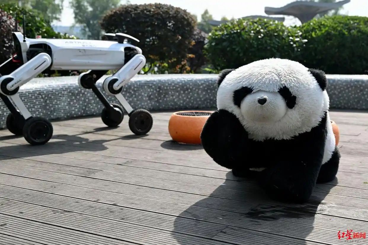 无人机马术赛压轴亮相世界无人机运动会，解锁空地协同全新应用场景 (http://www.hilij.com/) p 第7张