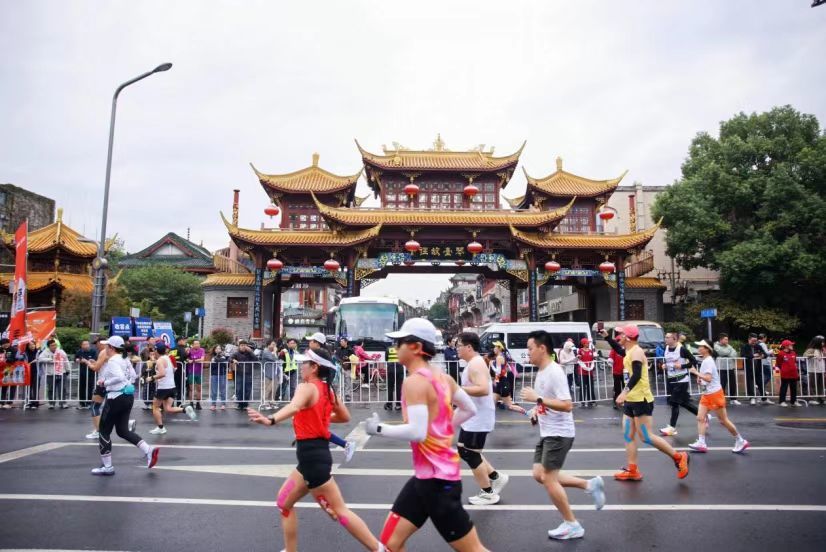 十年成马，越跑越“开” (http://www.kingbaby.com.cn/) wap 第1张