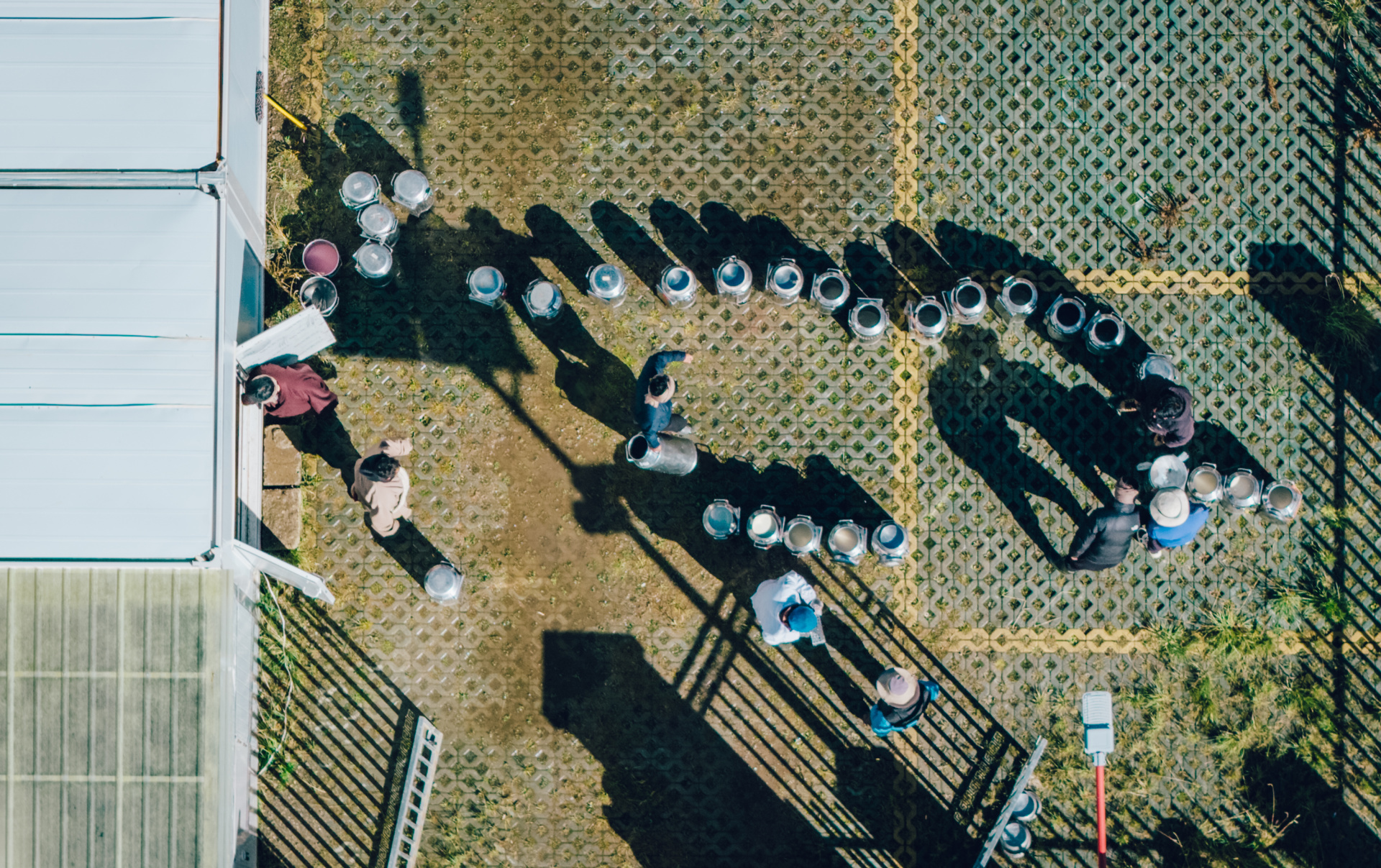 红色草地“新生计” (http://www.chichengjiaxiao.cn/) caij 第4张
