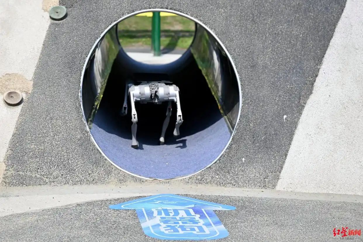 无人机马术赛压轴亮相世界无人机运动会，解锁空地协同全新应用场景 (http://www.hilij.com/) p 第4张