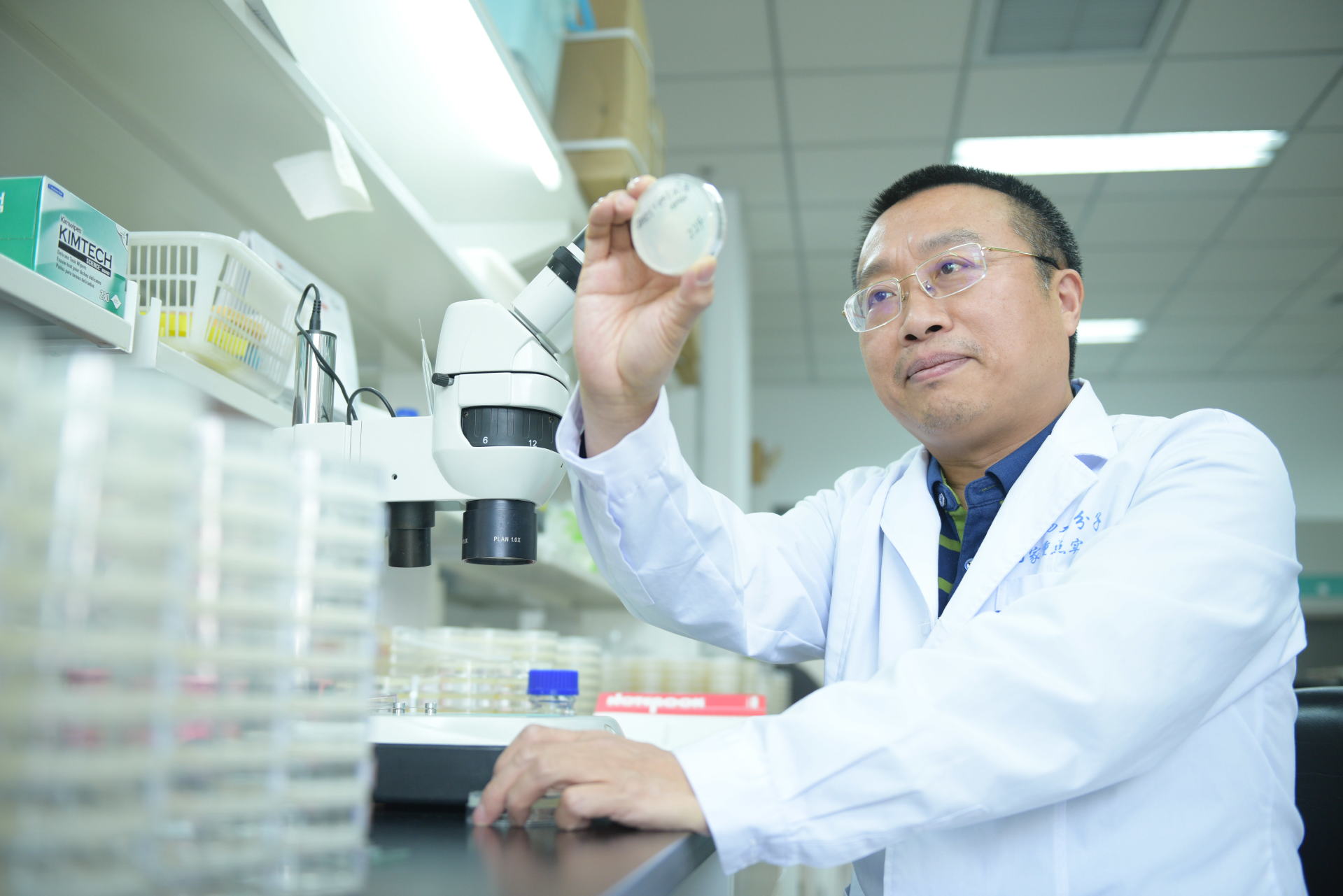 瞄准阿尔茨海默病和胰腺癌？未来科学大奖得主张宏：自噬理论“中国方案”正在就位 (http://www.kingbaby.com.cn/) wap 第1张