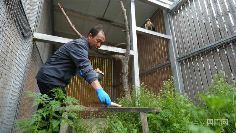 美丽中国行丨六盘山间听鸟鸣，典农河畔见清波——宁夏生态之变写进寻常生活