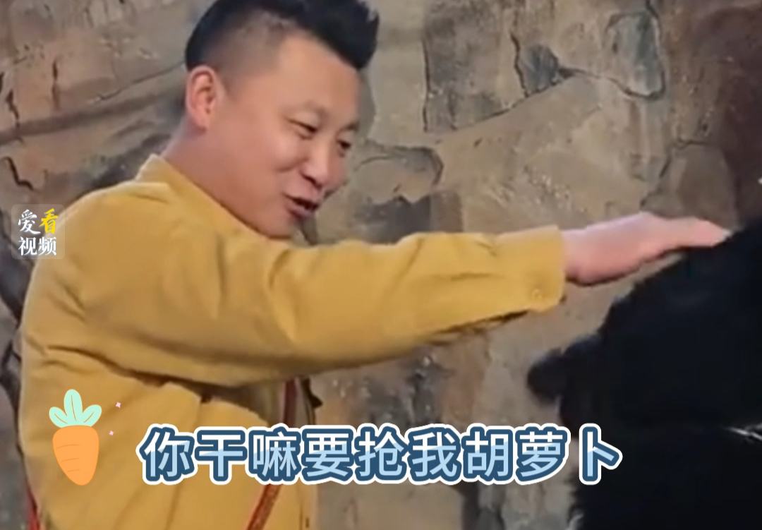 杭州野生动物园黑熊表演中扑向饲养员，园方致歉。