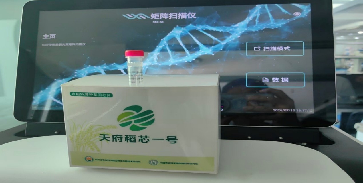 稻芯育种、无人农机、特色养殖、乡村文旅齐发力，科技拓宽四川农业多元价值链条｜万千气象看四川 (http://www.kingbaby.com.cn/) wap 第1张