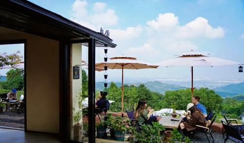 IMG_260