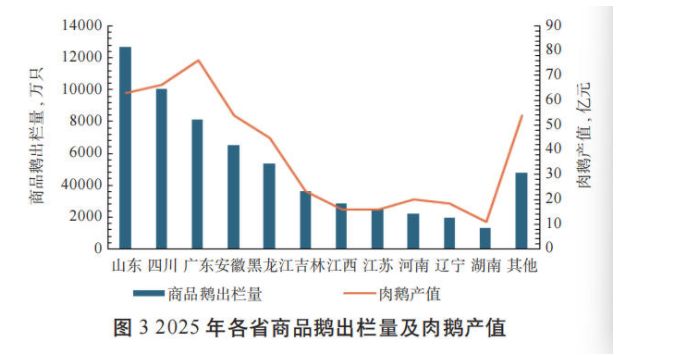 16元“鹅腿”争议发酵：鸭鹅价差背后，行业龙头2025年肉鹅业务陷入增产不增收困局 (http://armanice.com/) wap 第1张