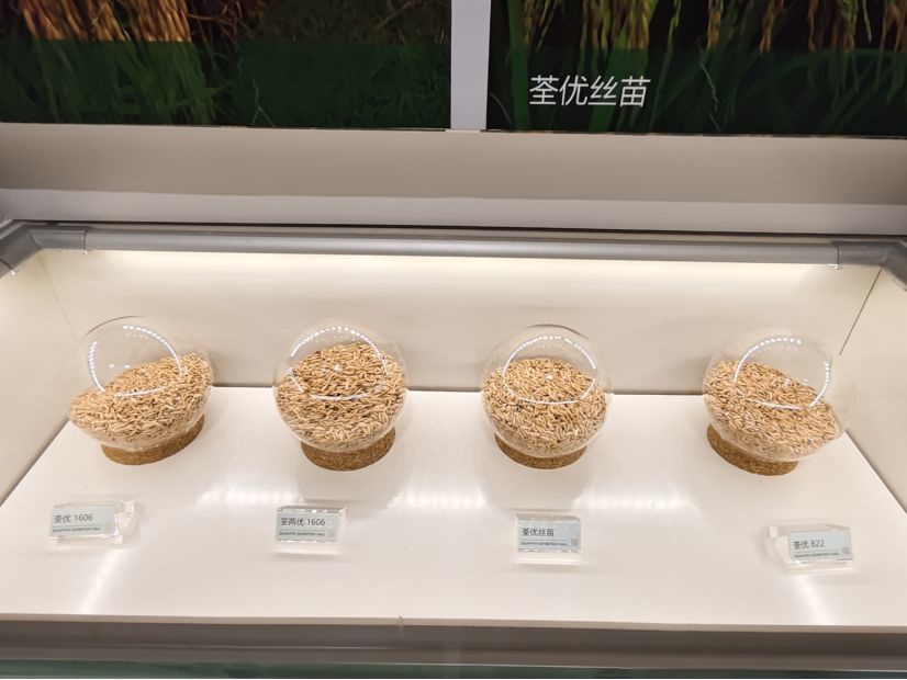 现场 | 停牌日撞上股东会，荃银高科回应超3.5亿元玉米存货减值与同业竞争核心议题 (http://www.kingbaby.com.cn/) wap 第2张