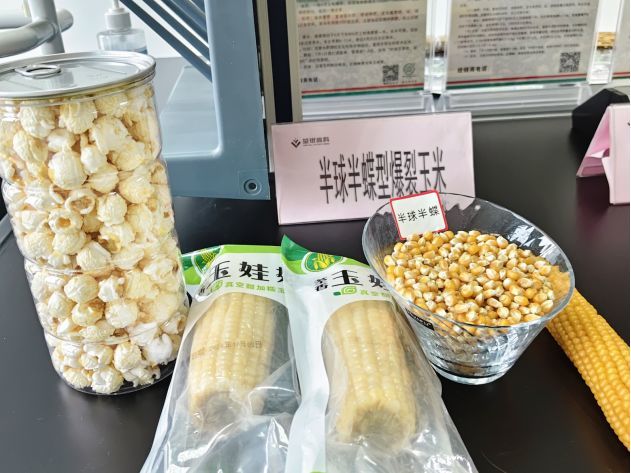 现场 | 停牌日撞上股东会，荃银高科回应超3.5亿元玉米存货减值与同业竞争核心议题 (http://www.kingbaby.com.cn/) wap 第3张