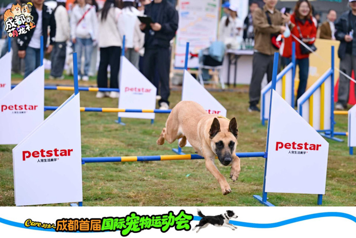 花海遇萌宠！成都首届国际宠物运动会解锁五一新玩法 (http://www.kingbaby.com.cn/) wap 第2张