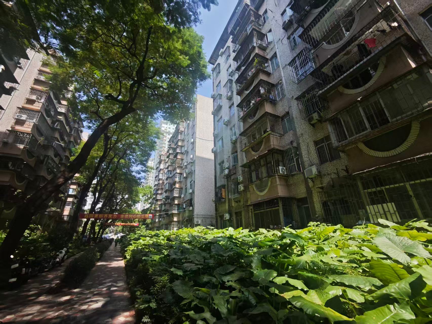 14年拉锯、曾被研判“不具备经济可行性”，深圳一老牌住宅小区更新改造终迎关键转折 (http://www.kingbaby.com.cn/) wap 第3张
