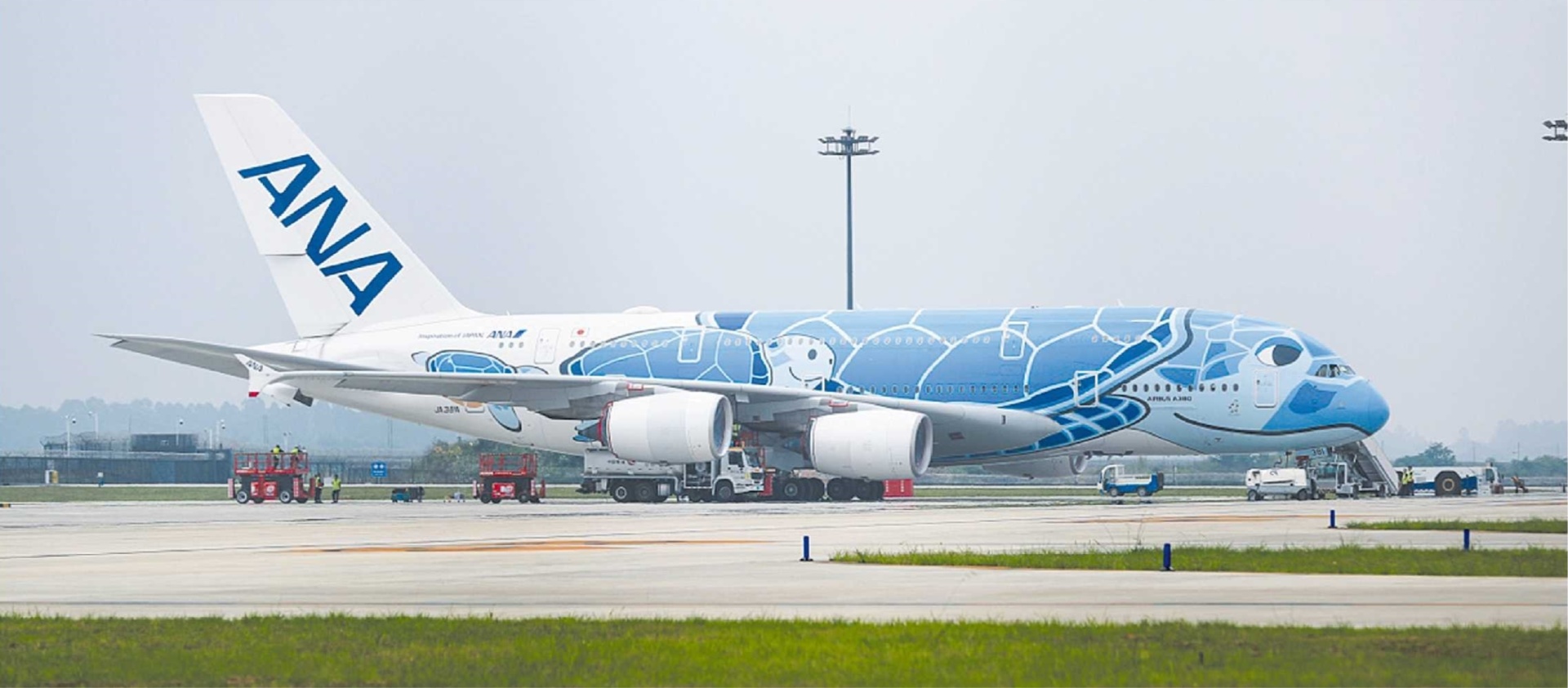 “蓝海龟”A380来蓉深度维修保养
