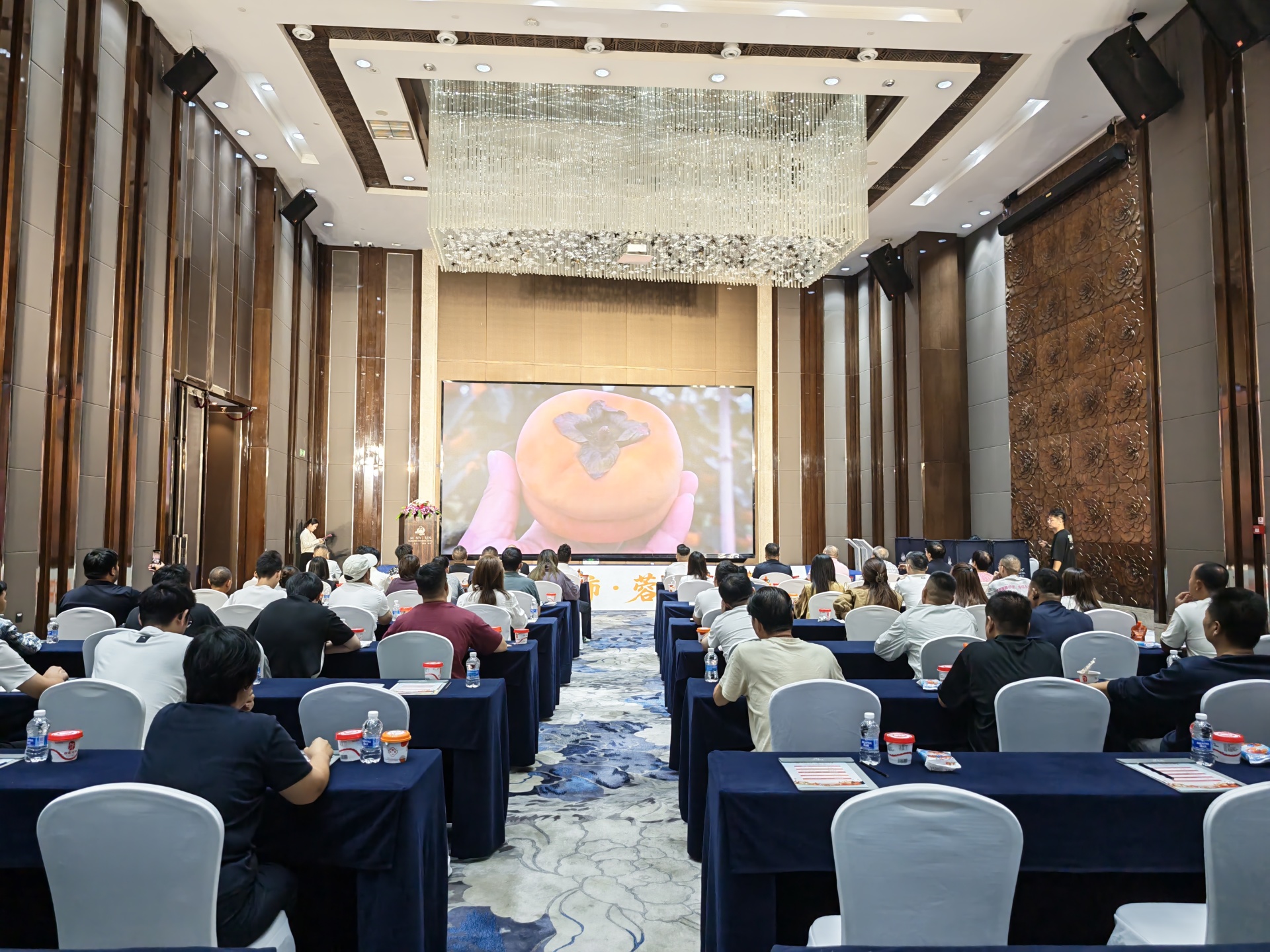 “树上冰淇淋”南下拓市场 保定冰柿在成都举行专场推介会