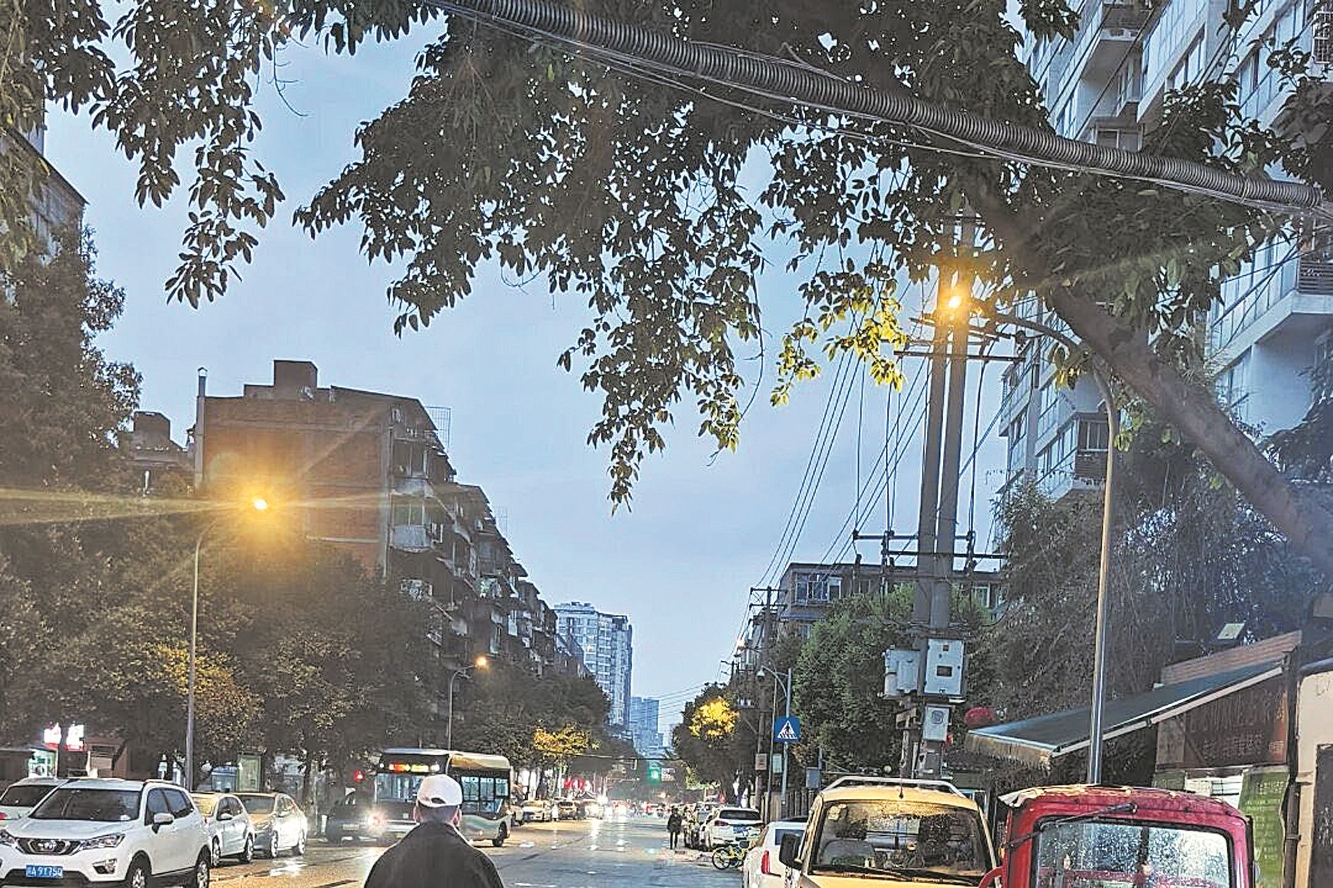 金牛增设标准路灯152柱 “摸黑路”亮堂了起来