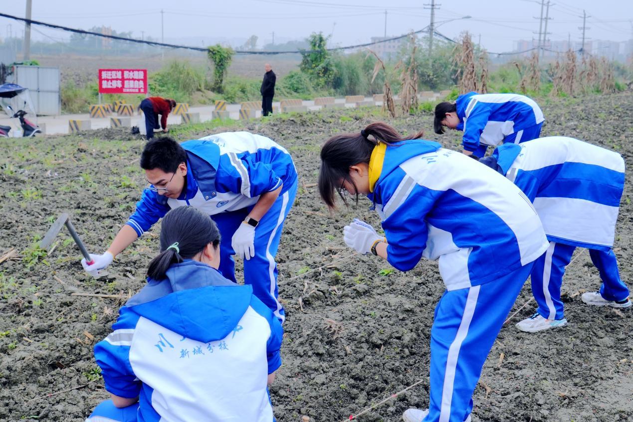劳动实践课深耕育人沃土！武侯学子在环城生态区播撒希望