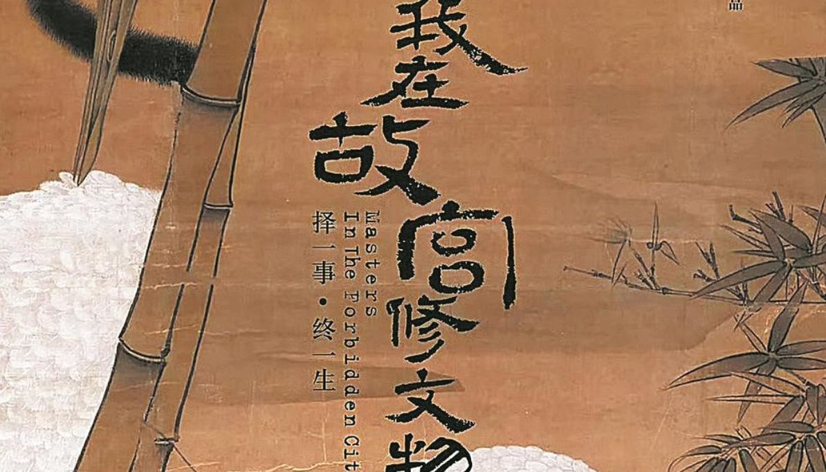 当年轻人爱上追更纪录片