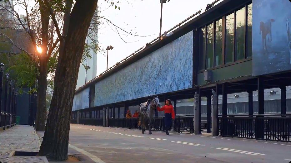 万人说新疆丨新疆“女骑士”：每次表演都是对家乡草原文化的传承与致敬