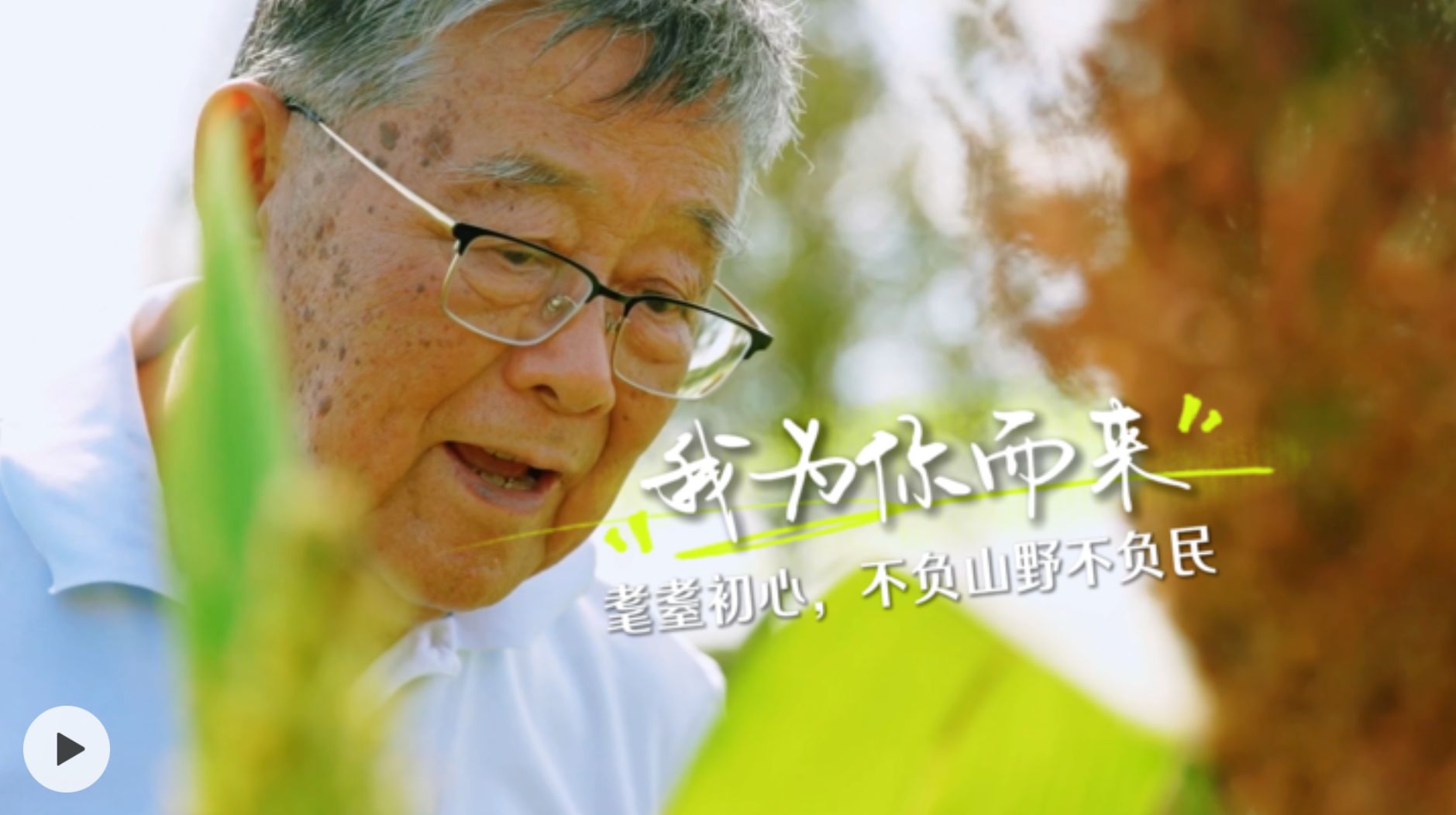赵亚夫一辈子就做一件事：把论文写在大地上，把成果留在农民家