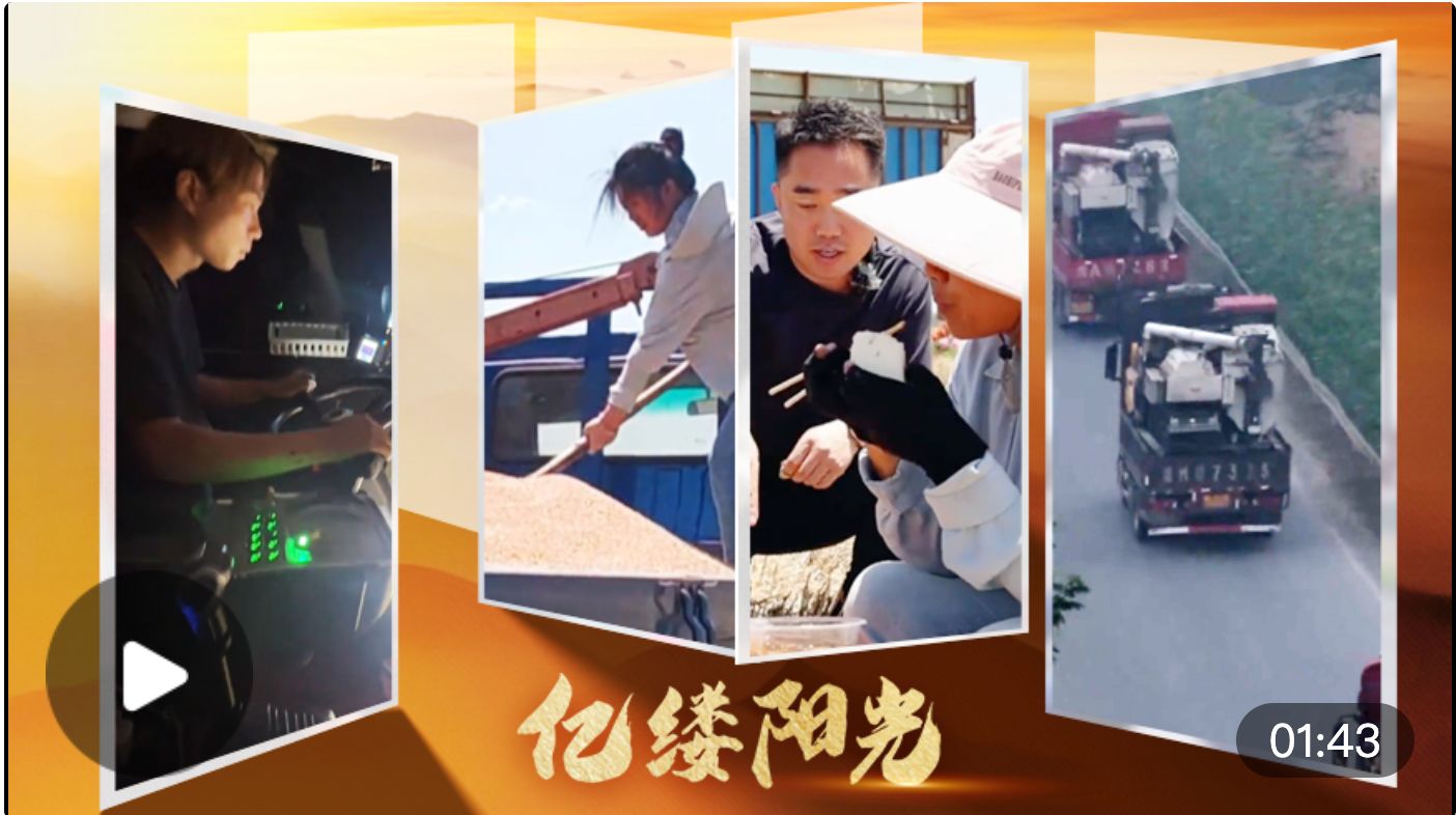 亿缕阳光·乡见｜“三夏”抢收有温情