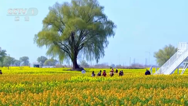 “好颜值”扮靓赏春消费 春日画卷引客来文旅市场暖意浓浓