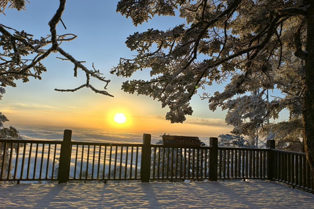 西岭雪山春假免票！双线徒步+森系研学野趣拉满