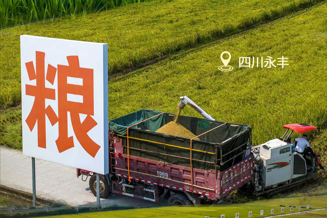 “永丰”之诺：科技是“天府粮仓”最大的底气丨同题共答·粮安中国