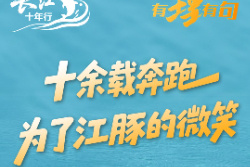 十余载奔跑，为了江豚的微笑