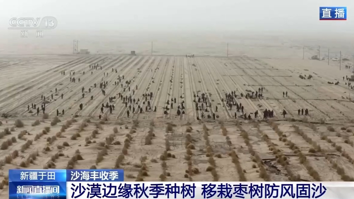 锁边“合龙”不是终点 塔克拉玛干沙漠边缘还在不断变绿