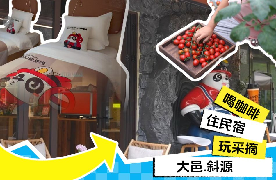奔赴一场秋日之约！成都大邑矿工熊猫等你来耍