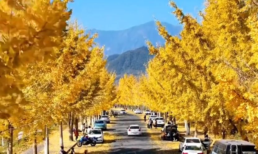 在成都，有种生活方式叫彭派生活