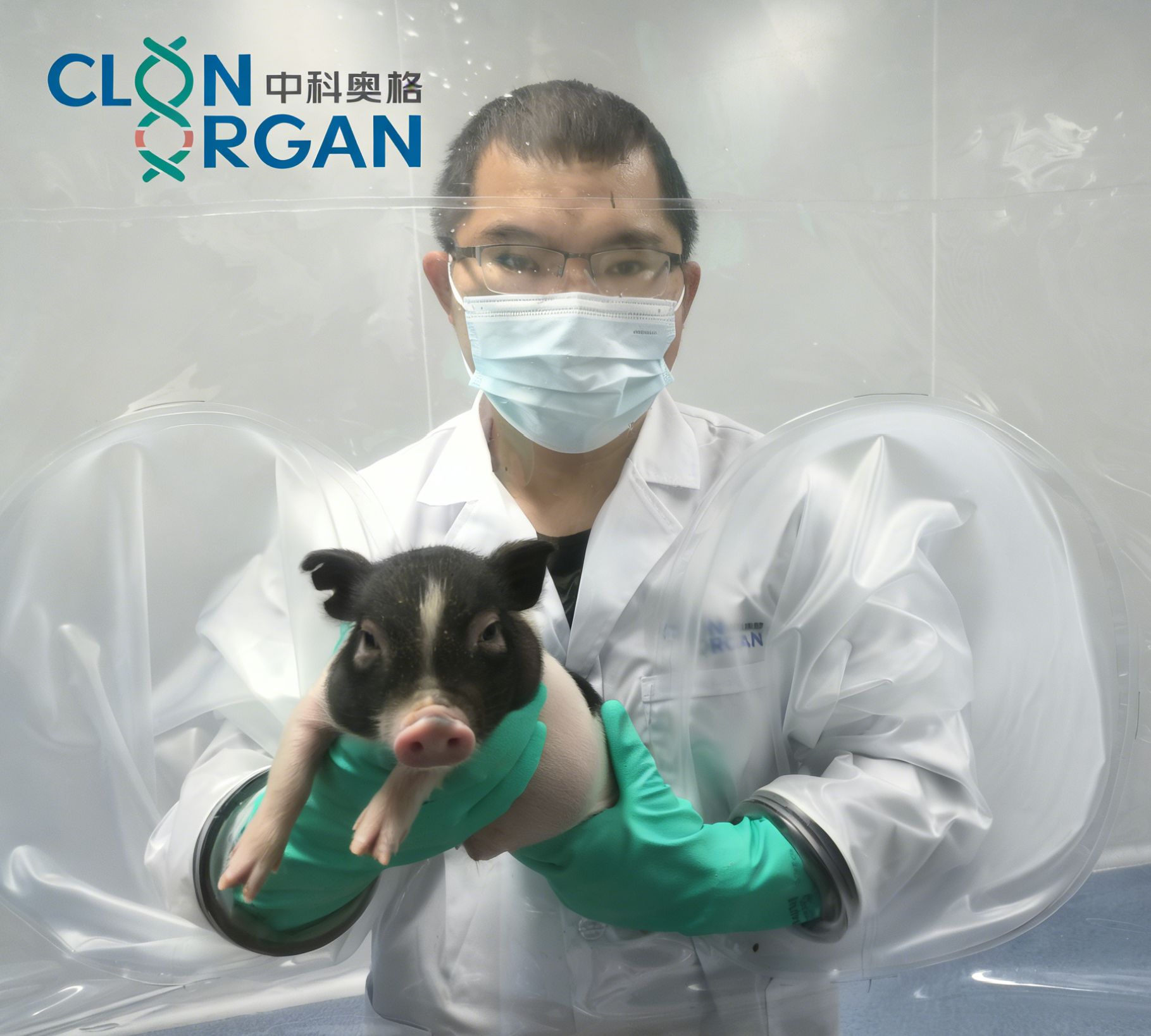 2025年度“中国科学十大进展”发布 成都高新区医药健康成果入选