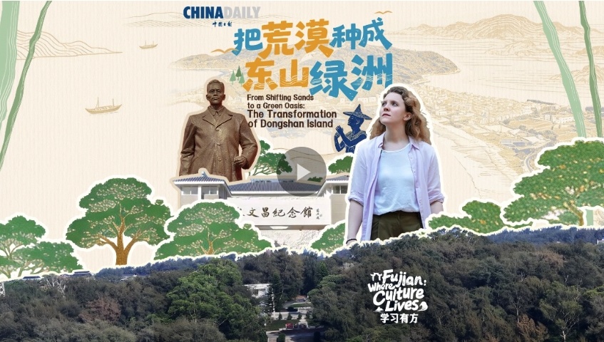 绿满东山：一座海岛的六十年巨变
