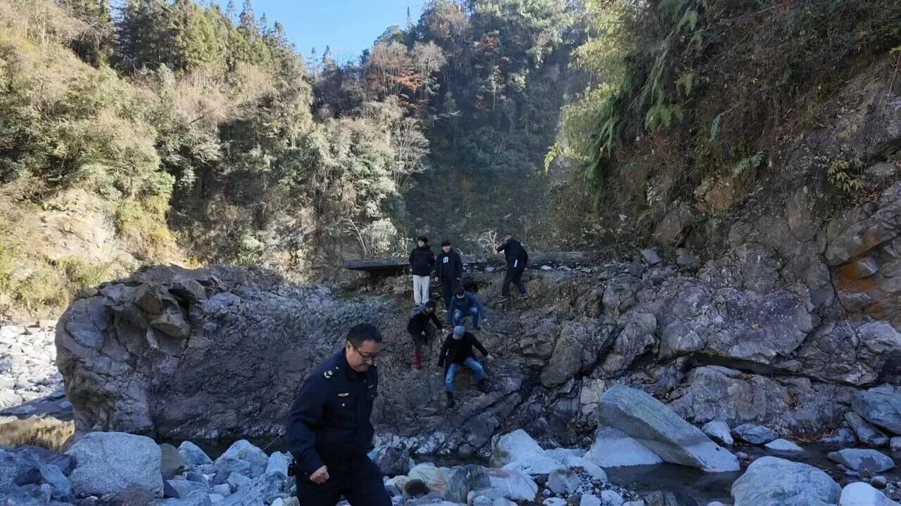 三年专项行动初见成效 成都筑牢野生鸟类保护防线